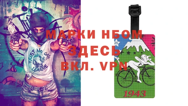 индика Балахна