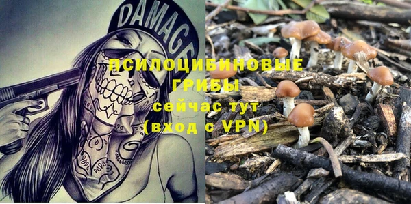 индика Балахна