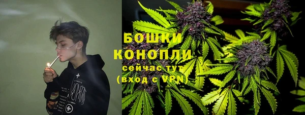 индика Балахна