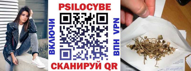 Псилоцибиновые грибы Cubensis  Ивдель 